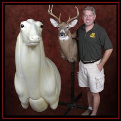 Whitetail Taxidermy kit and finished deer shoulder mount