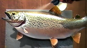 Brown Trout Airbrush