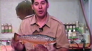 Brown Trout