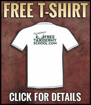 Free T Shirt graphic